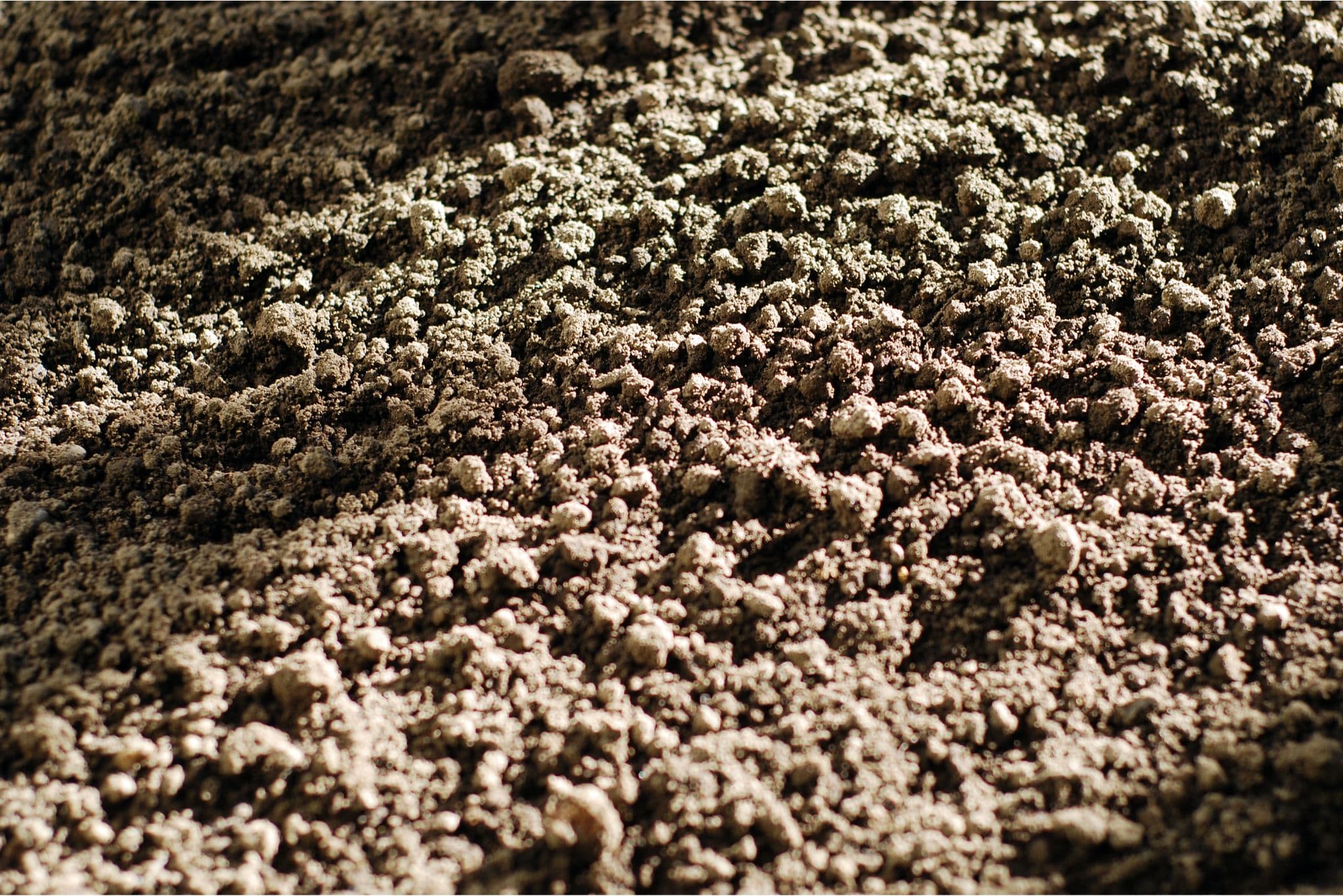 Commercial waste management