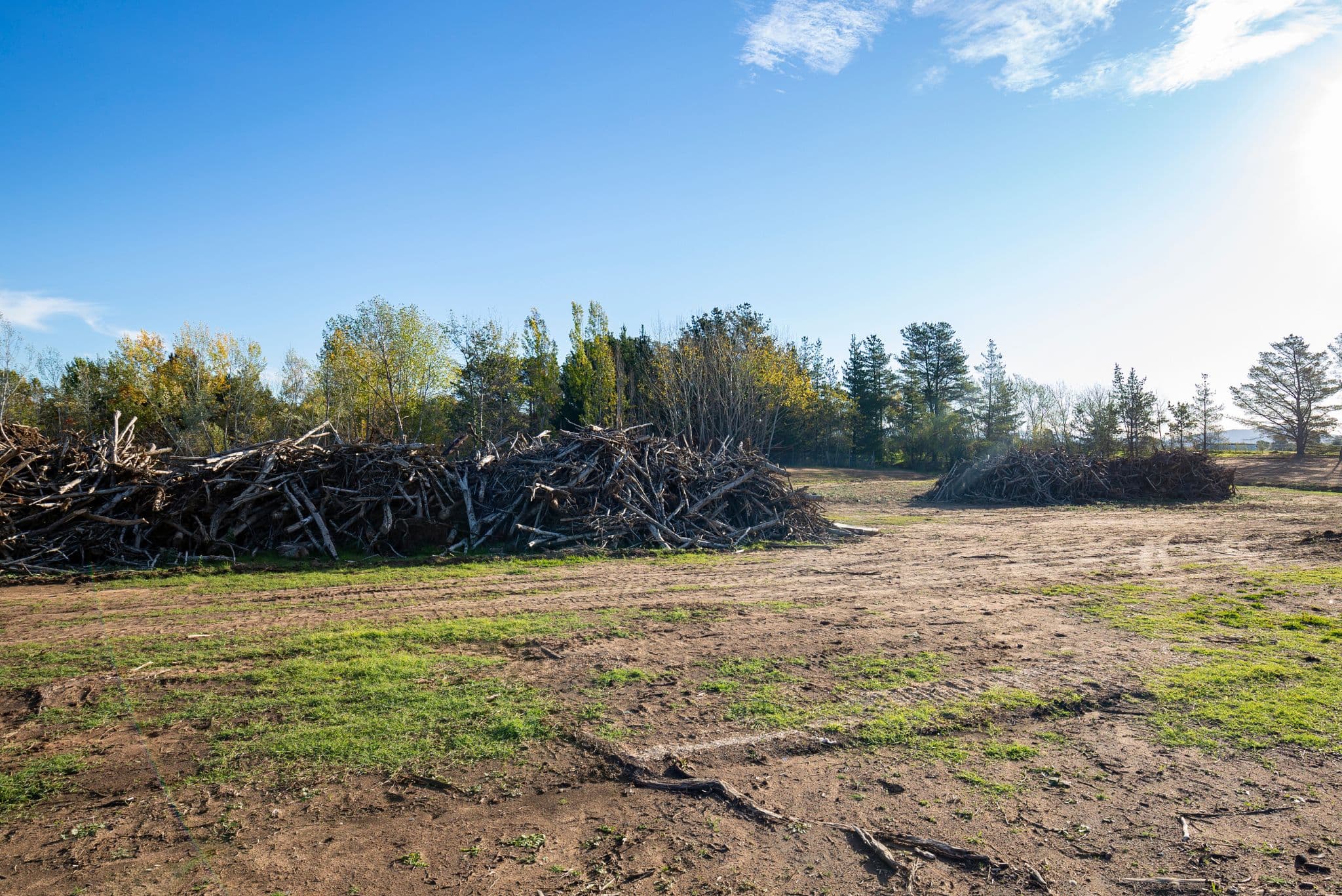 Commercial waste management